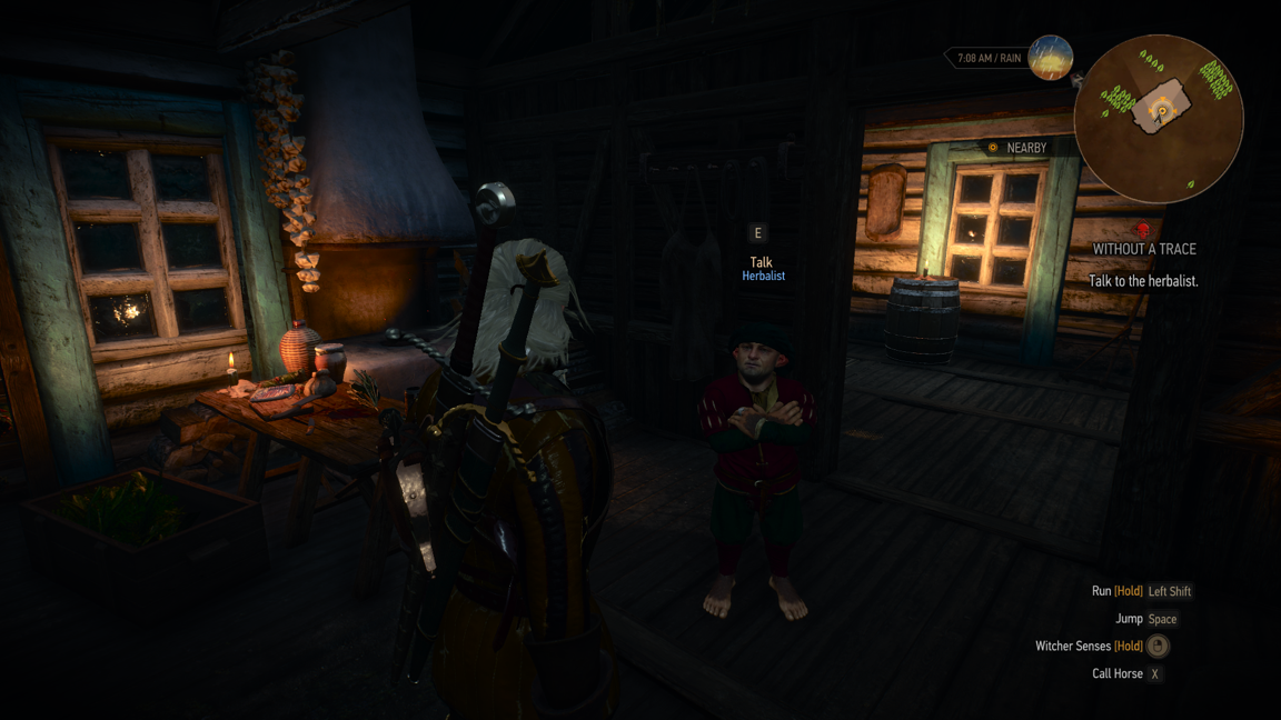 Without a Trace Novigrad (Hearts of Stone)